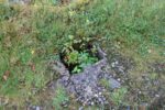 hkb_25-978_husvik_2025_007