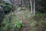hkb_25-978_husvik_2025_011