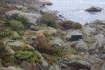 hkb_25-978_husvik_2025_012