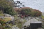 hkb_25-978_husvik_2025_015