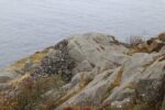 hkb_25-978_husvik_2025_016