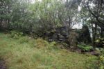 hkb_25-978_husvik_2025_023