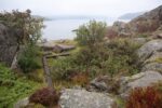 hkb_25-978_husvik_2025_037