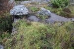 hkb_25-978_husvik_2025_041