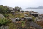 hkb_25-978_husvik_2025_060