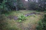 hkb_25-978_husvik_2025_064