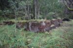 hkb_25-978_husvik_2025_067