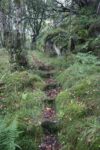 hkb_25-978_husvik_2025_100