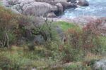 hkb_25-978_husvik_2025_126