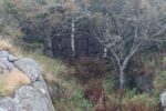 hkb_25-978_husvik_2025_128