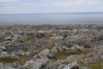 hkb_3-448_hamningberg_2019_018