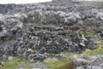 hkb_3-448_hamningberg_2019_032