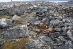 hkb_3-448_hamningberg_2019_045