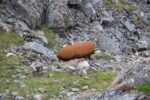 hkb_3-448_hamningberg_2019_048