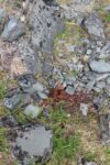 hkb_3-448_hamningberg_2023_002