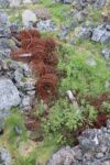 hkb_3-448_hamningberg_2023_034