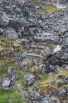 hkb_3-448_hamningberg_2023_035