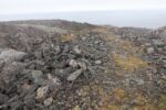 hkb_3-448_hamningberg_2023_047