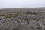 hkb_3-448_hamningberg_2023_049