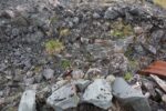hkb_3-448_hamningberg_2023_061