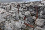 hkb_3-448_hamningberg_2023_082