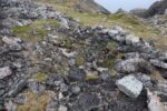hkb_3-448_hamningberg_2023_099