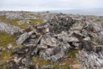 hkb_3-448_hamningberg_2023_112