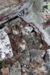 hkb_3-448_hamningberg_2023_115
