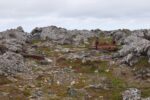 hkb_3-448_hamningberg_2023_116