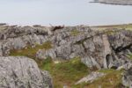 hkb_3-448_hamningberg_2023_124