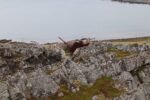 hkb_3-448_hamningberg_2023_125