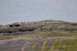 hkb_3-448_hamningberg_2023_134