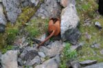 hkb_3-448_hamningberg_2023_172