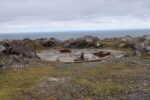hkb_3-448_hamningberg_2023_173