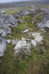 hkb_3-448_hamningberg_2023_231