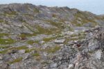 hkb_3-448_hamningberg_2023_237