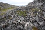 hkb_3-448_hamningberg_2023_240