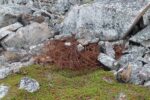 hkb_3-448_hamningberg_2023_242