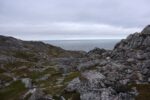 hkb_3-448_hamningberg_2023_243
