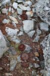 hkb_3-448_hamningberg_2023_246