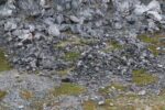 hkb_3-448_hamningberg_2023_255