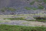 hkb_3-478_kvalneset_2023_003
