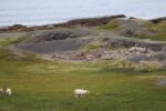 hkb_3-478_kvalneset_2023_084