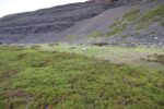 hkb_3-478_kvalneset_2025_006