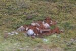 hkb_3-478_kvalneset_2025_025
