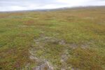 hkb_3-478_kvalneset_2025_051