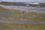 hkb_3-478_kvalneset_2025_058