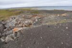 hkb_3-478_kvalneset_2025_076