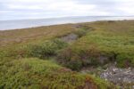 hkb_3-478_kvalneset_2025_104