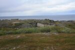 hkb_3-480_berlevaag_2023_023